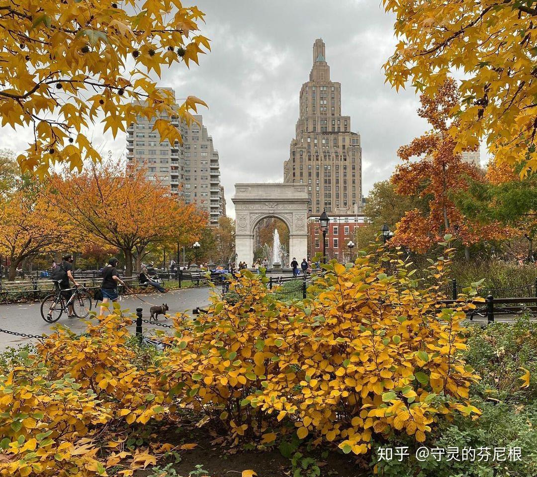 如何评价b站up主学院派academia