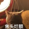 红糖水不加红糖