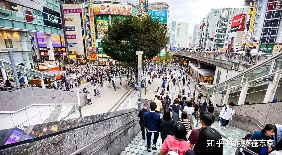 住在东京新宿区是什么样的体验 - 知乎