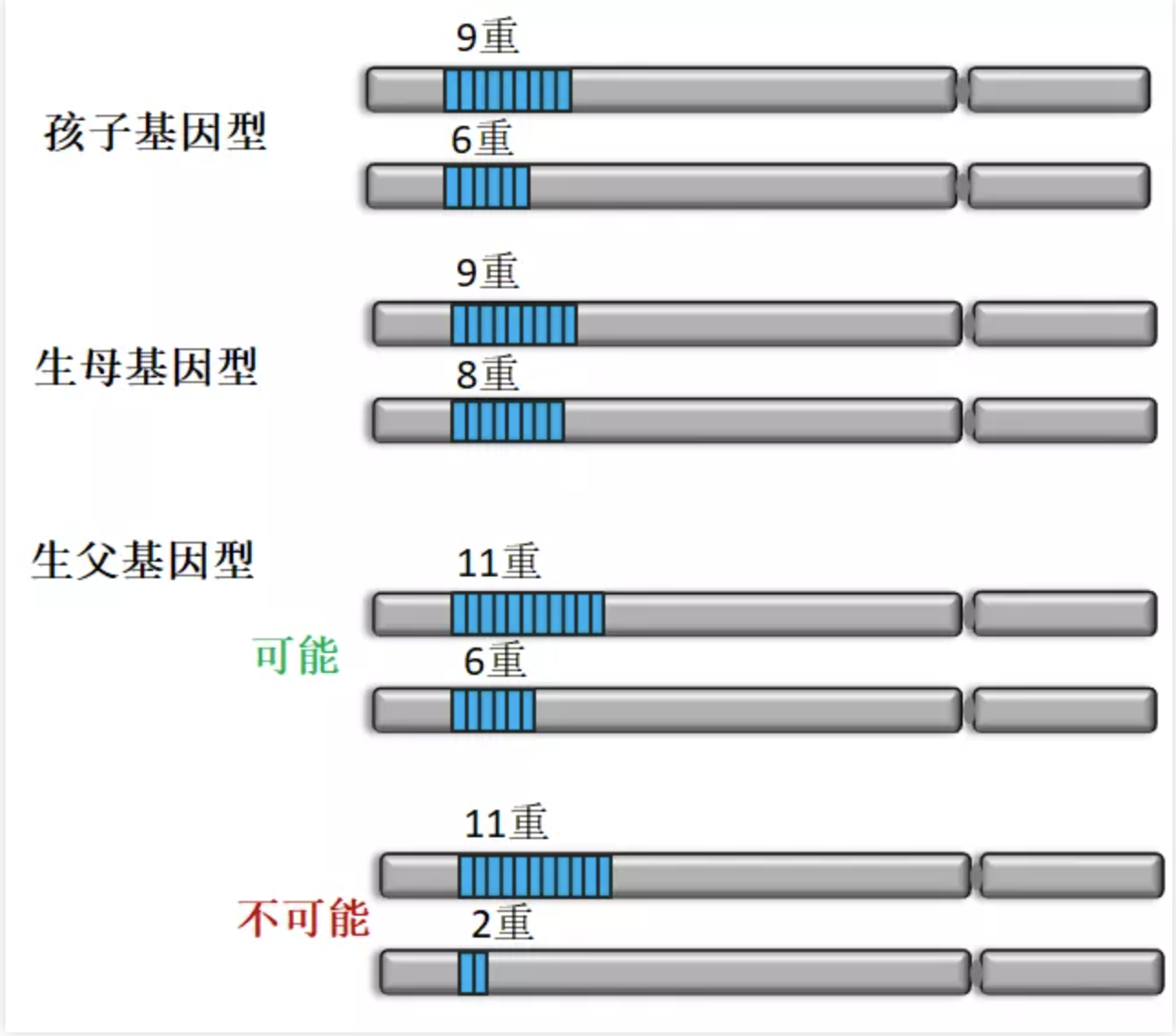 亲子鉴定所测的基因座里有关于长相的基因吗?多不多? - 知乎