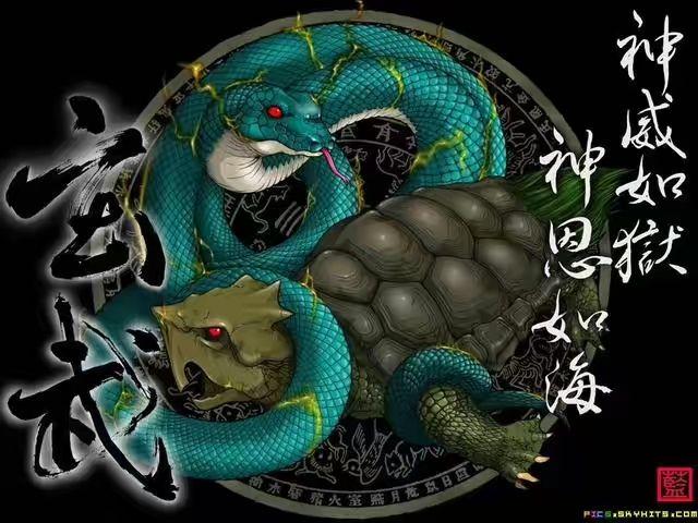 应龙和烛龙相比谁更强