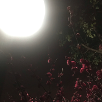 一文解释OEM、ODM、C2M、M2C - 知乎