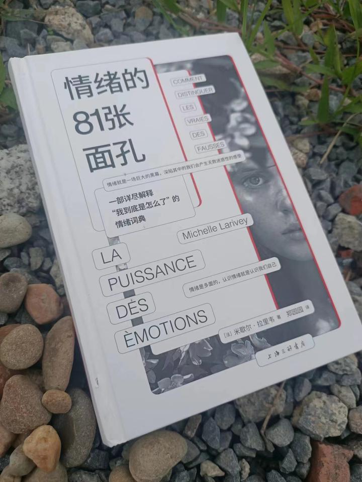 《情绪的81张面孔》直面内心，我们都需要的一本情绪指南大全 - 知乎