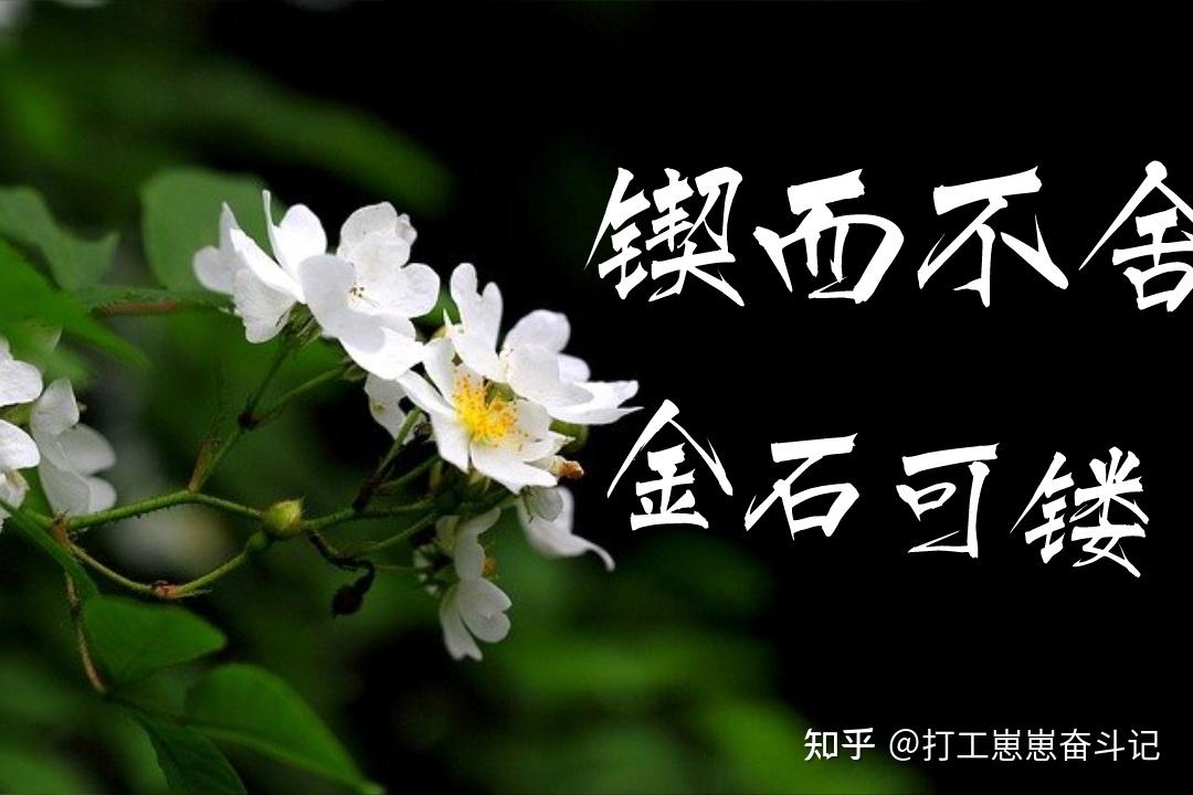 做一件事,没有毅力怎么办? - 知乎