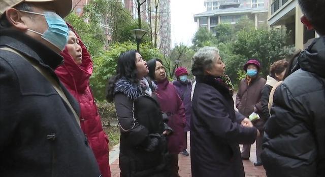 新业主装修直接把小区的绿化带挖了,旧业主们崩溃 - 知乎
