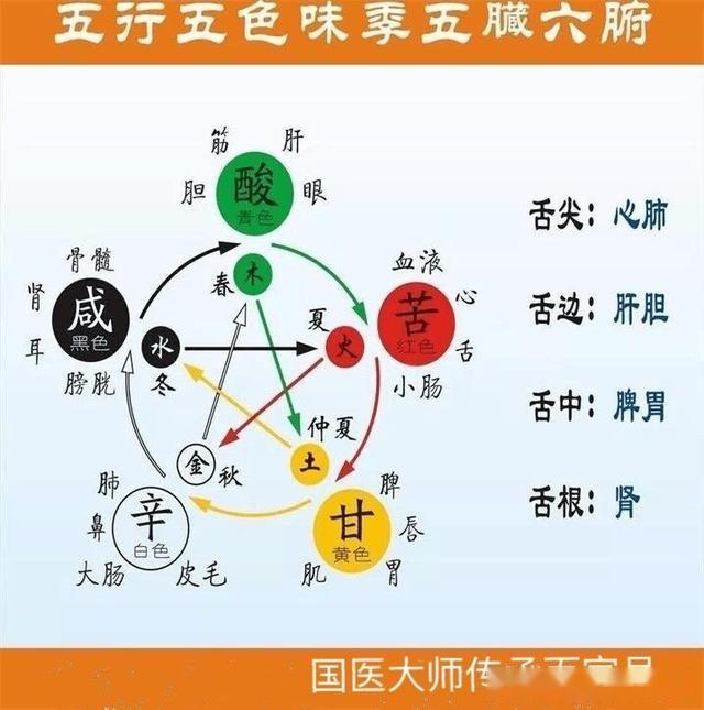 从祖国医学五行的生克关系谈情绪对人体五脏的影响 - 知乎