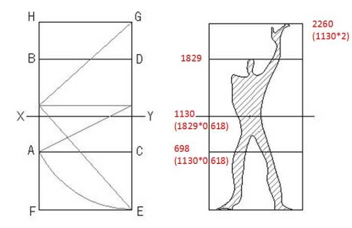 柯布西耶的模度理论? - 知乎