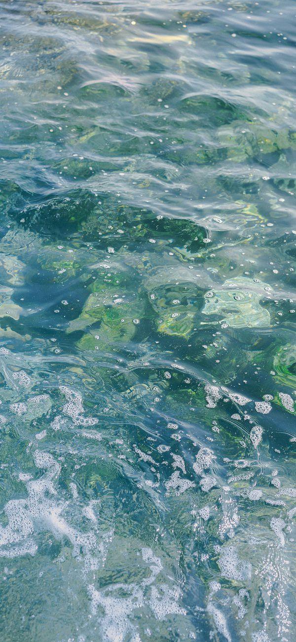 有哪些让你一眼万年的绿色系壁纸?(绿色壁纸大全图片清新自然)