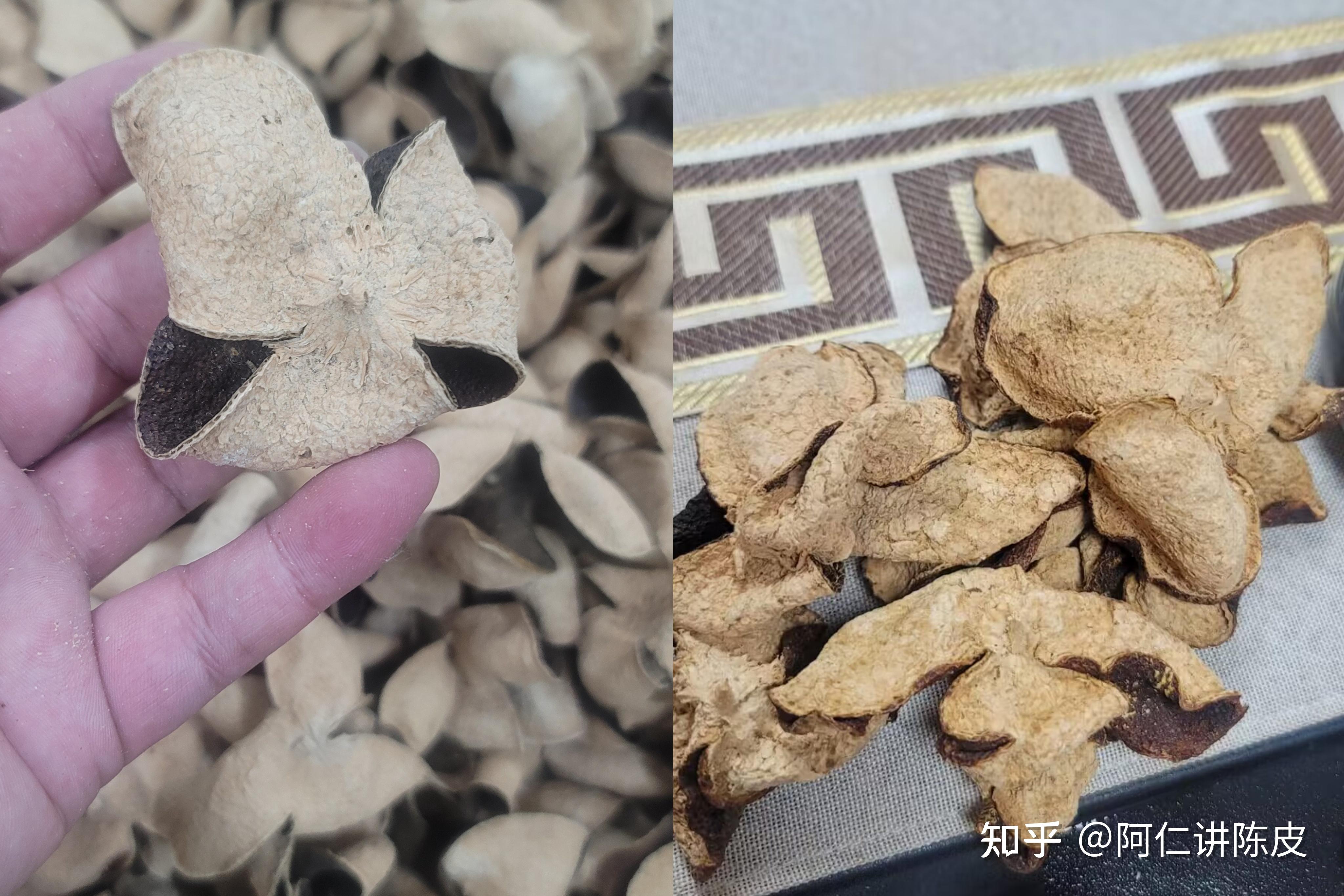 枳实、枳壳、陈皮和青皮的区别有哪些? - 知乎