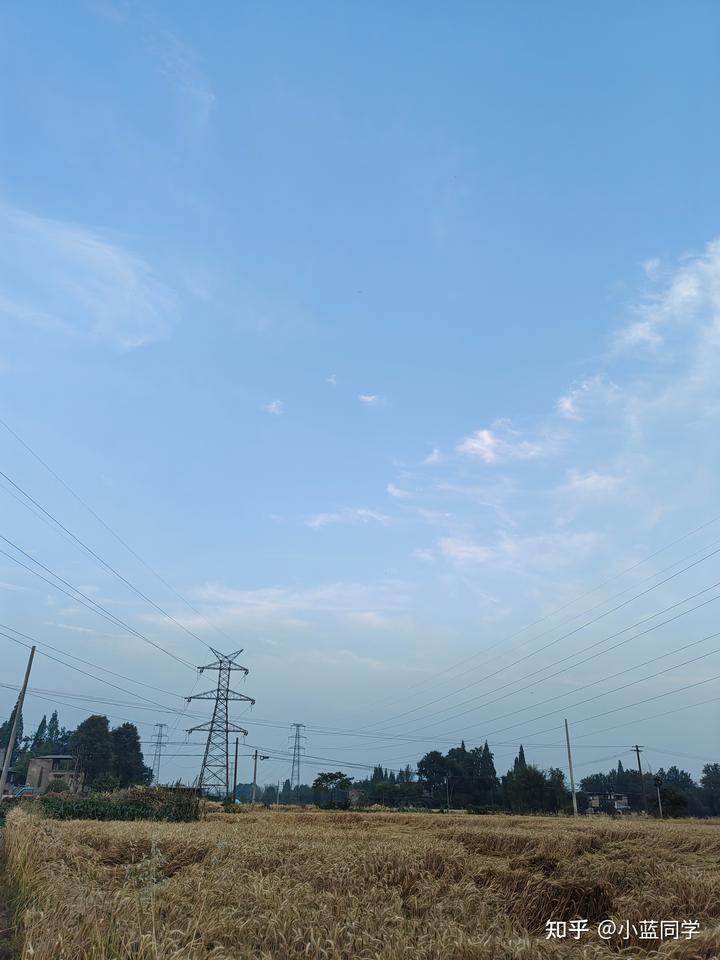 人，可以废物到什么程度？