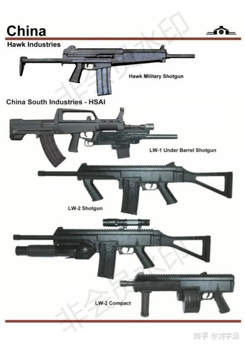 中国枪的种类名称图片图片