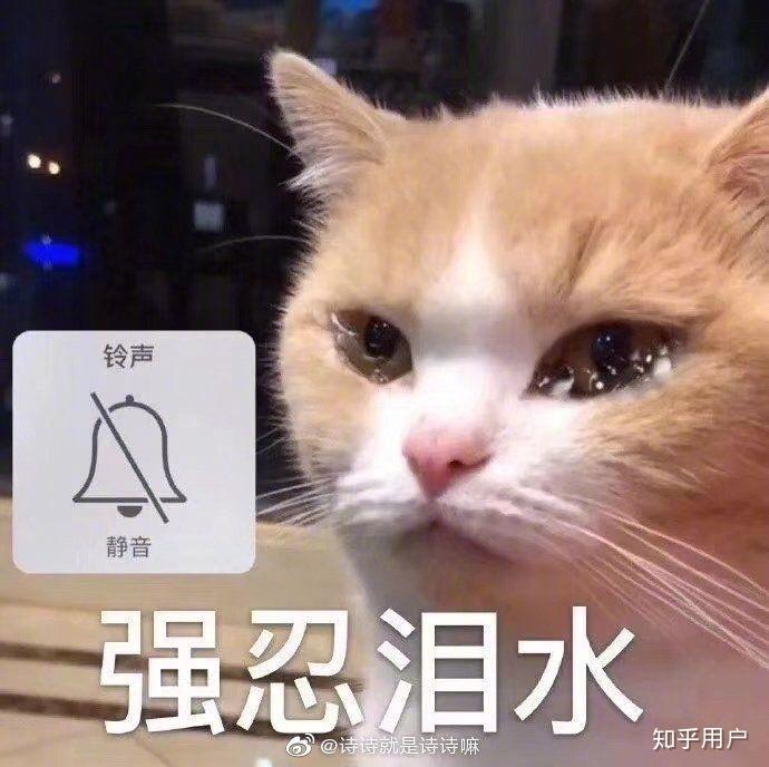qq个性标签看不到陌生人点赞=个性标签谁赞过我为什么看不了了