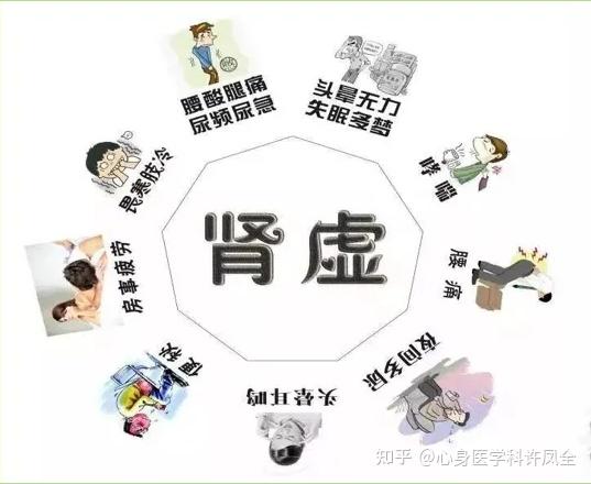 肾虚的症状可不止有你理解的那一种，来看看你有没有以下症状吧！ - 知乎