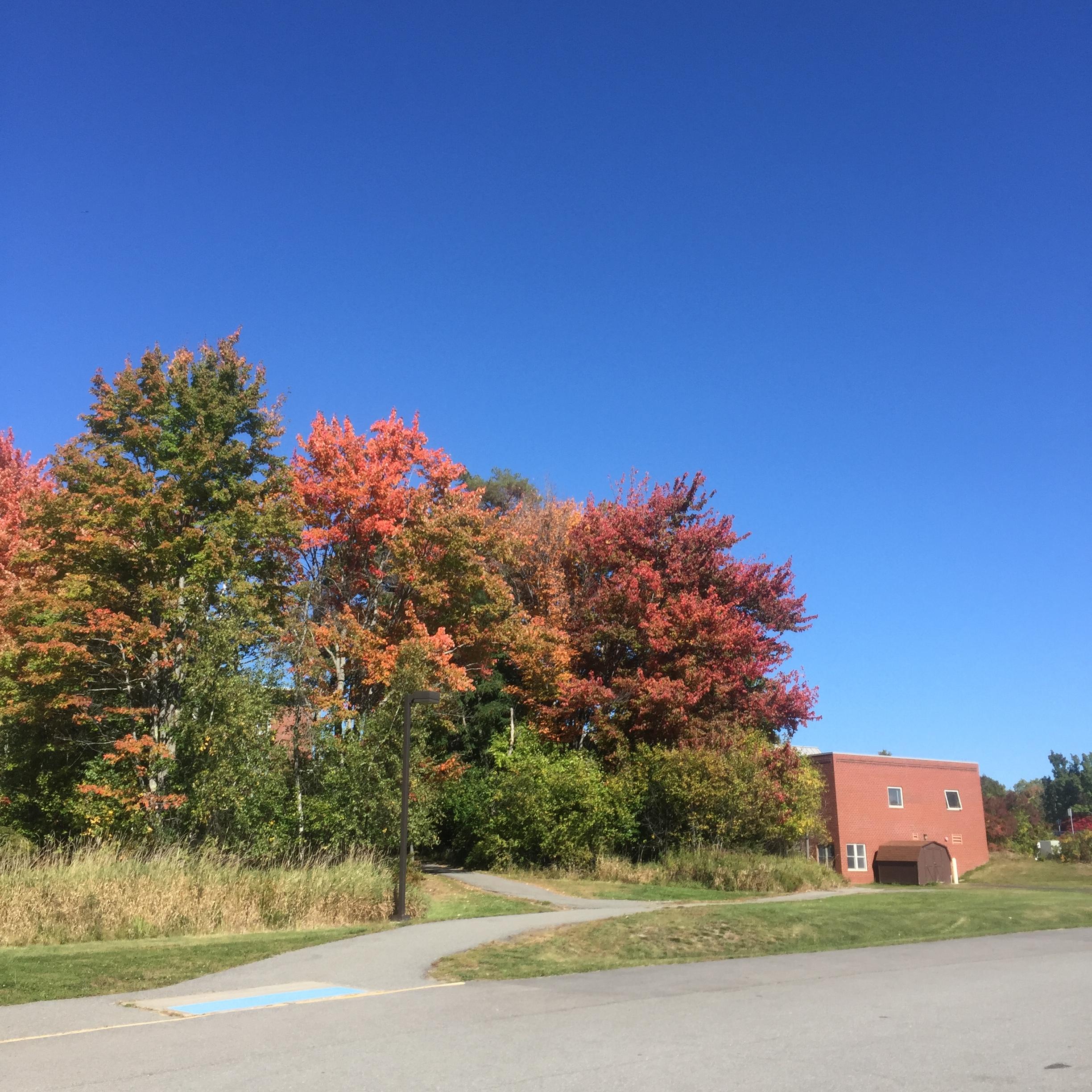 在緬因大學(the university of maine)就讀是怎樣的體驗? - 知乎