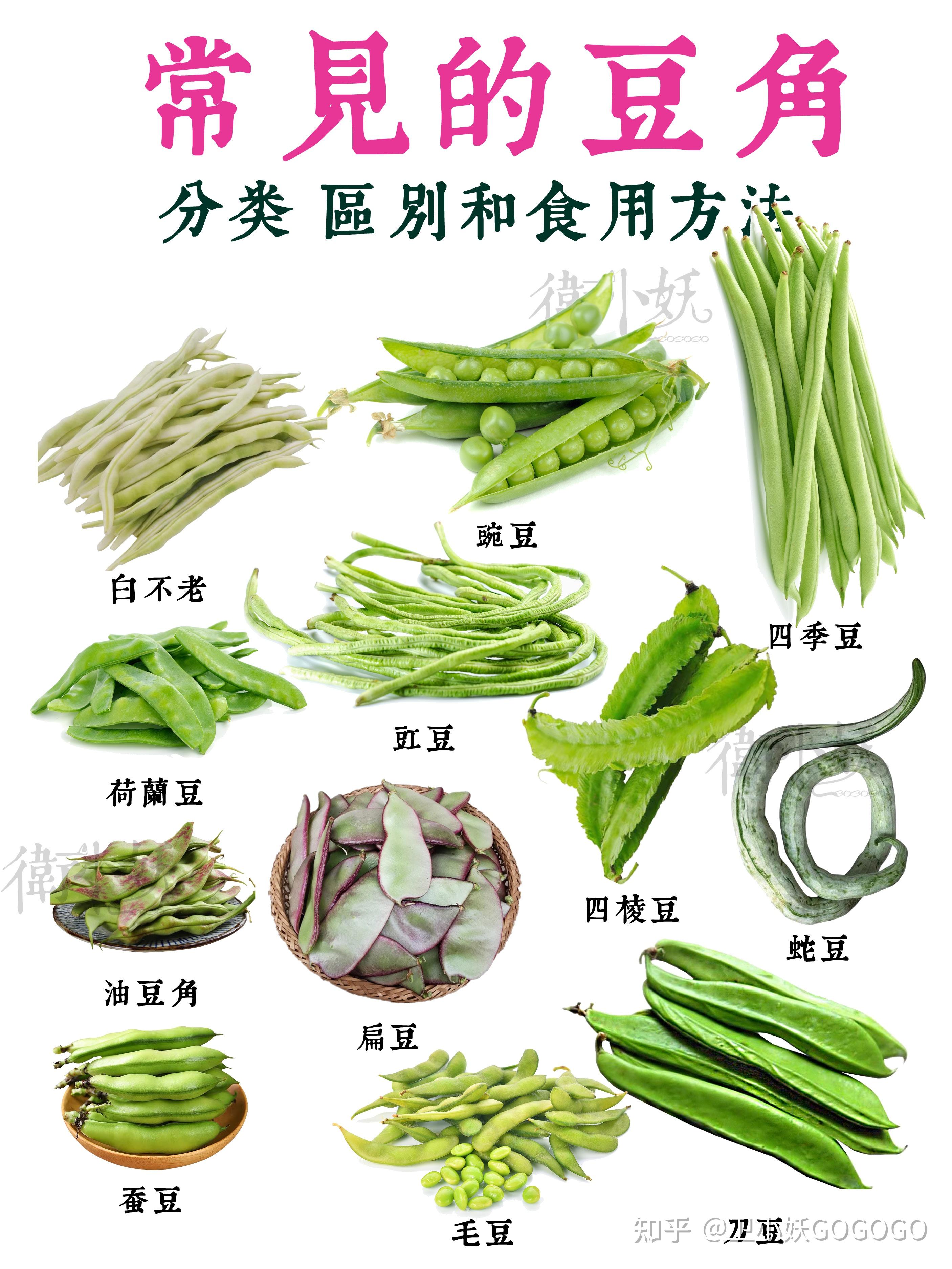 做法有什么区别? - 豆角做什么菜 - 实验室设备网