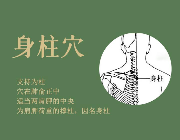 身柱准确位置图 图图片