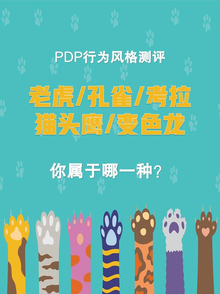 Pdp 