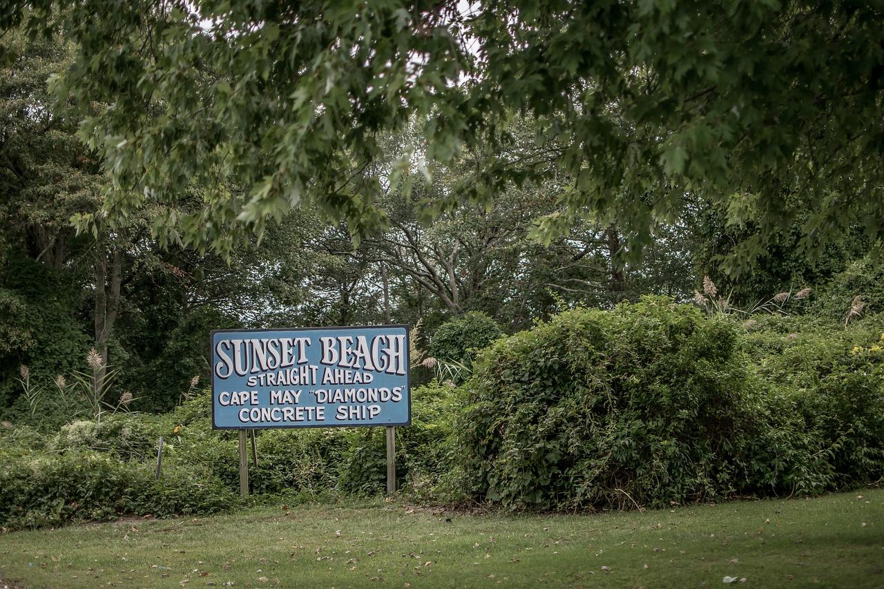 启迪景怡坊项目在哪里