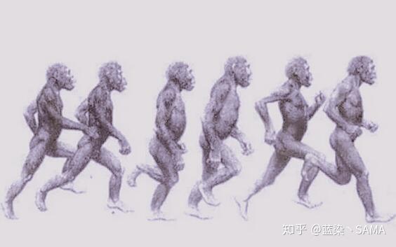 长知识了,原来人类的长跑能力这么强,甚至连马都曾经败给人类 - 知乎