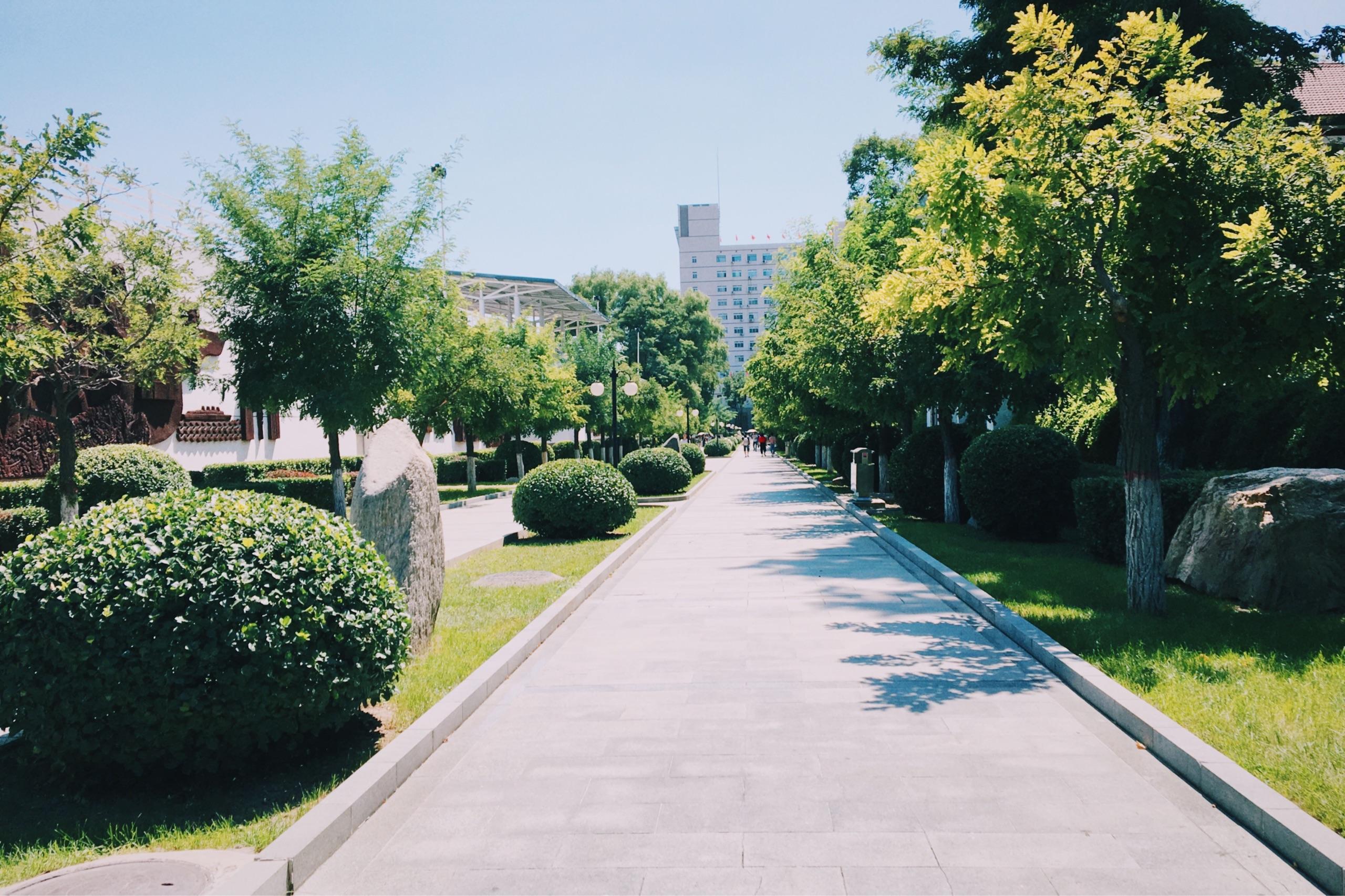 山西大学坞城校区怎么样
