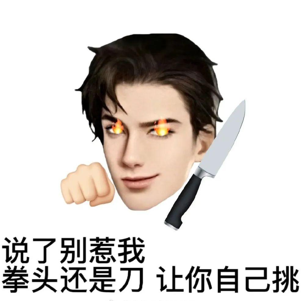 求简隋英表情包?