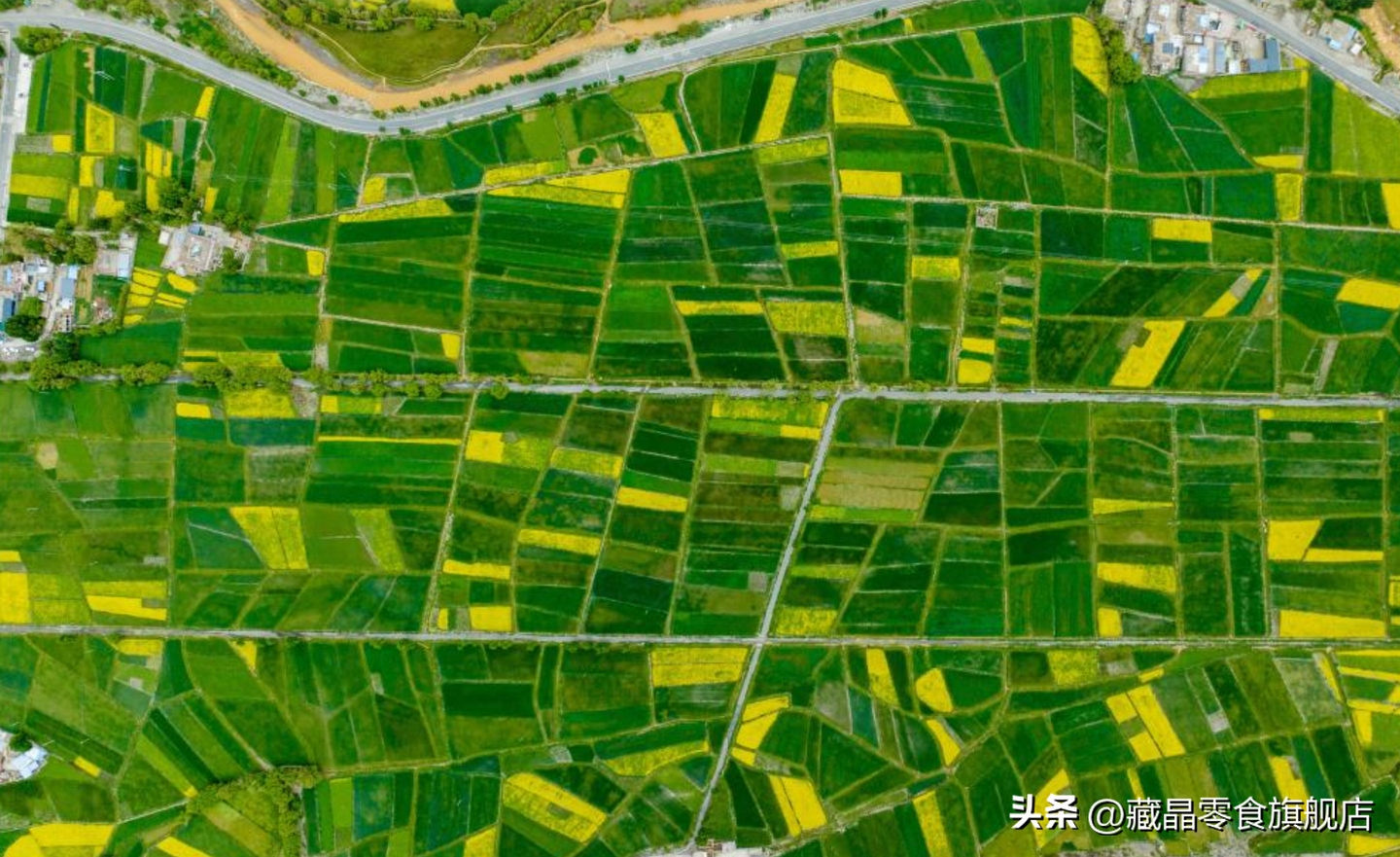 夏日的雅砻河谷,翠绿的青稞地焕发着迷人的光彩 - 知乎