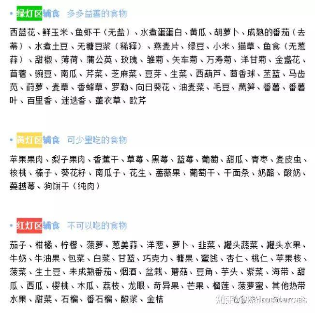 哪些是可以喂仓鼠吃的食物