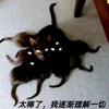 硅基生物