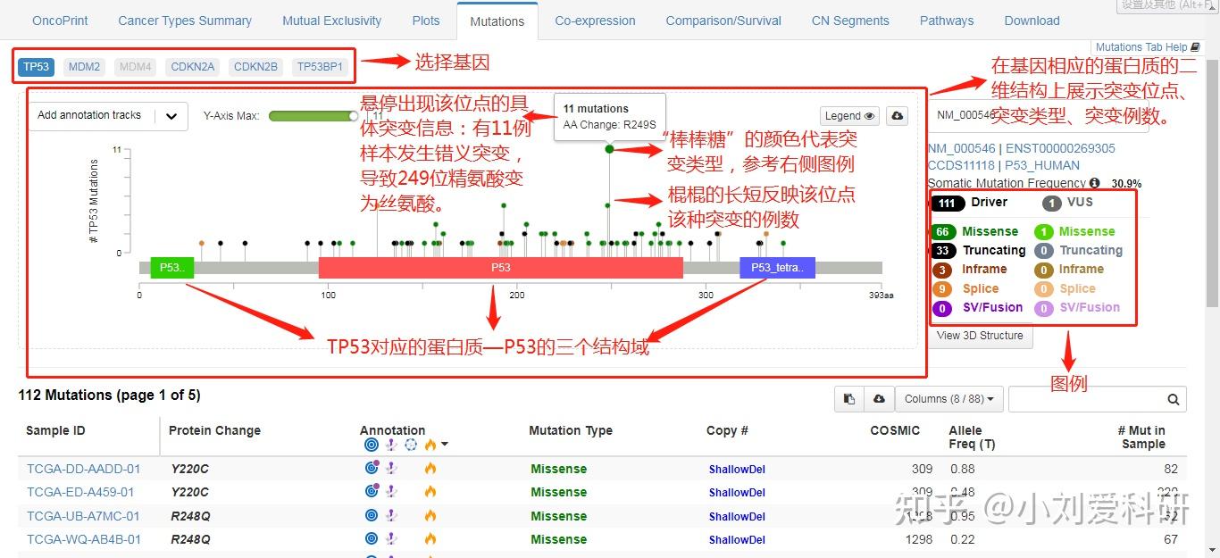 cBioPortal数据库——零代码进行突变分析与可视化 - 知乎