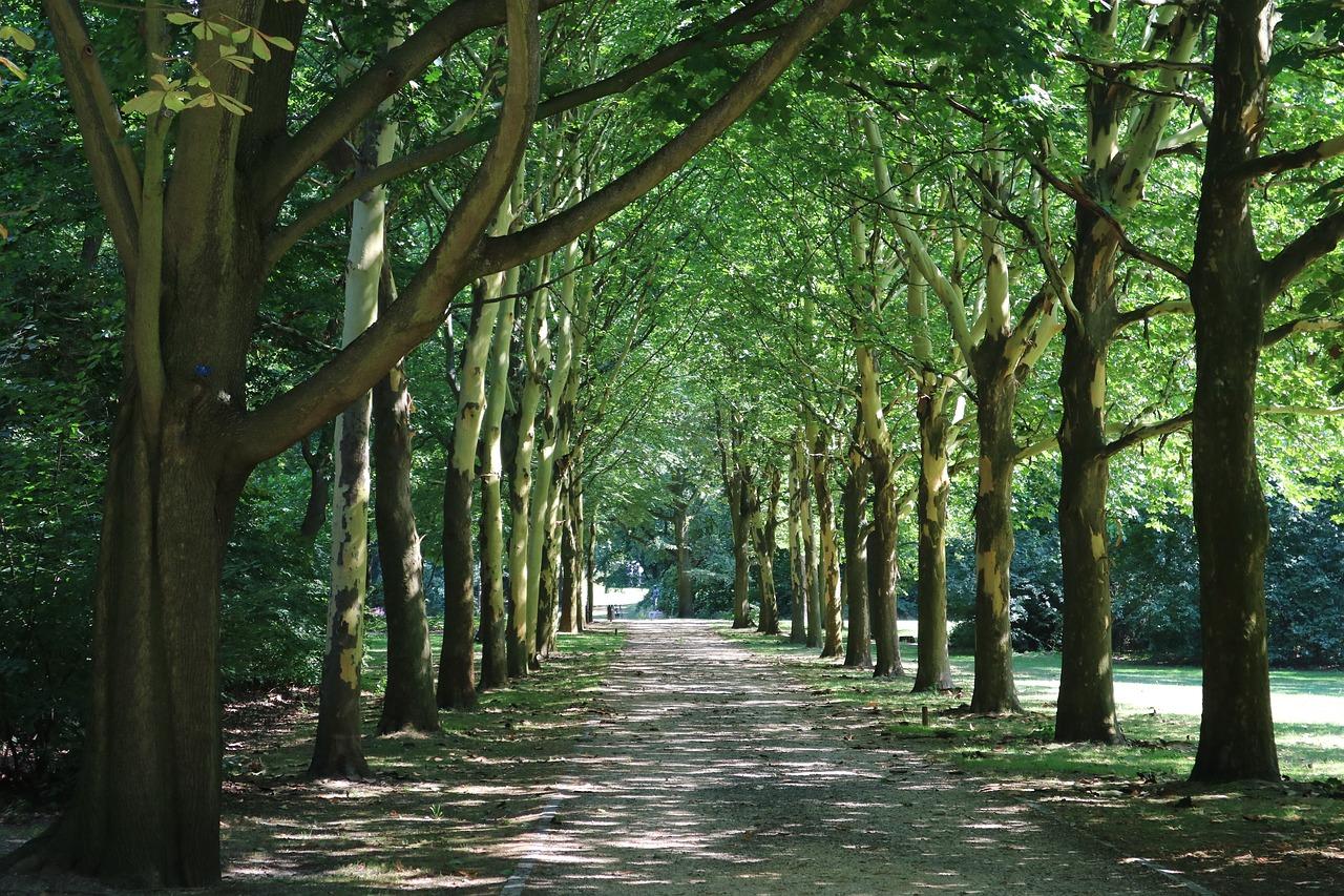 2. 乐松福周边配套