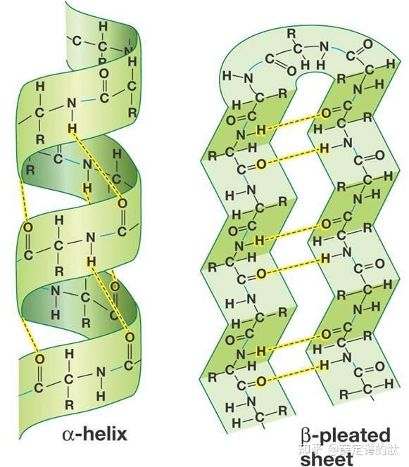 Dna 