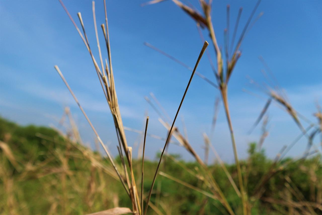 美的空调风小怎么回事
