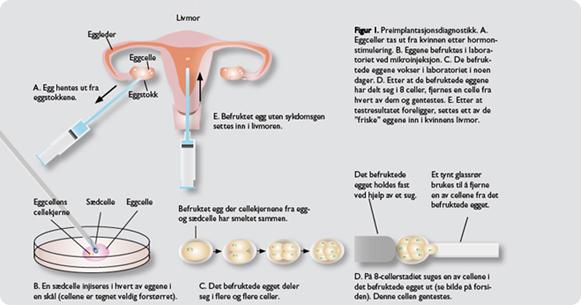 在北京代生完多久婴儿,该如何调节好体内内分泌激素