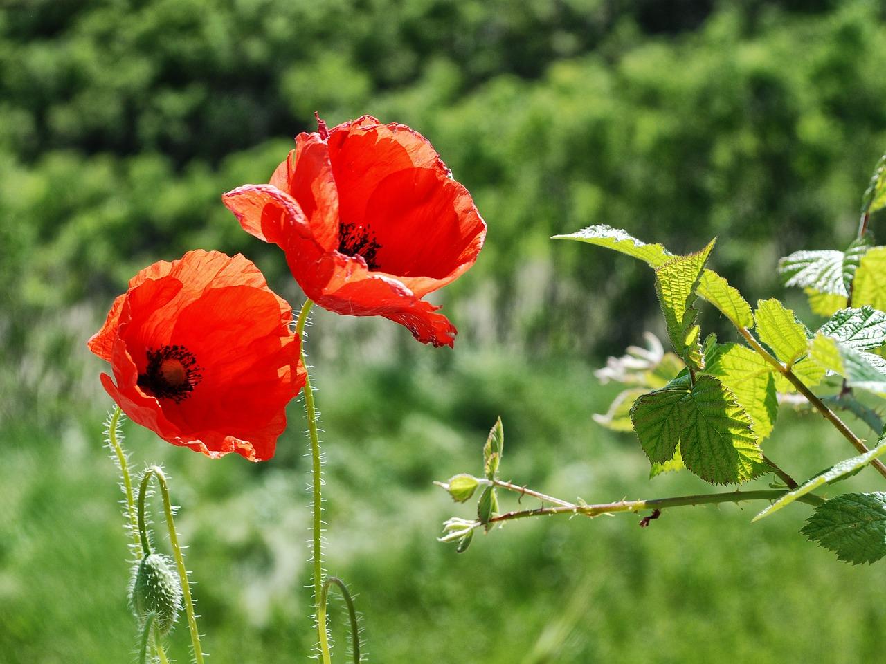 消费改上喷多少钱