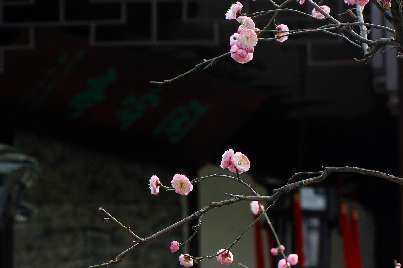 4. 交通便利枢纽