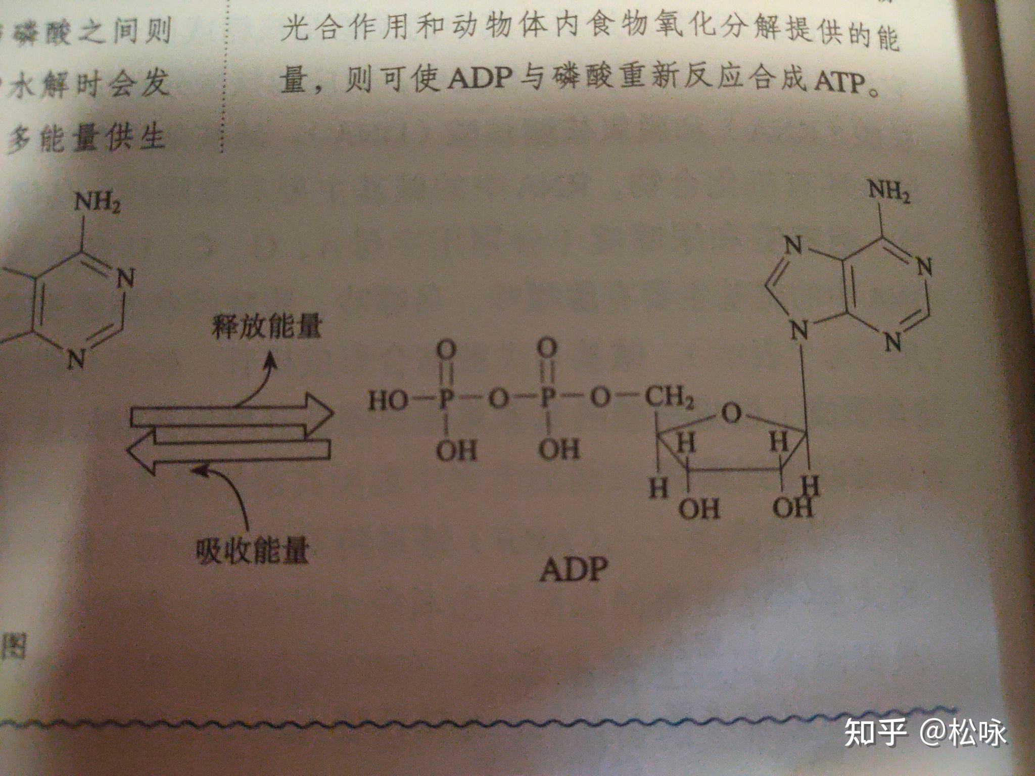 请问一下，这是什么化学物质的结构式？（在笔记本上看到的）? - 知乎