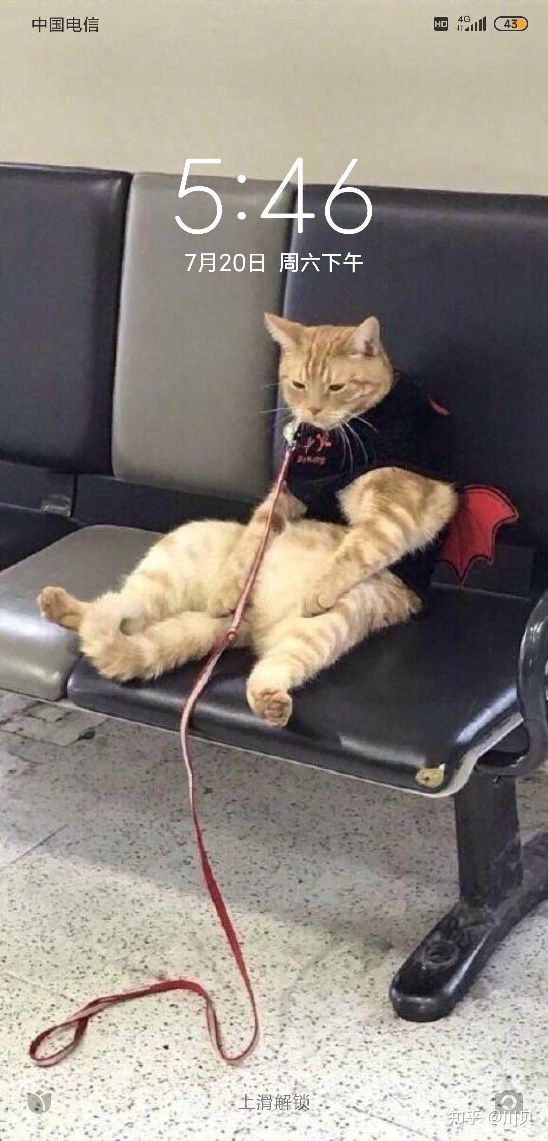 有什么奇葩的图片当锁屏壁纸