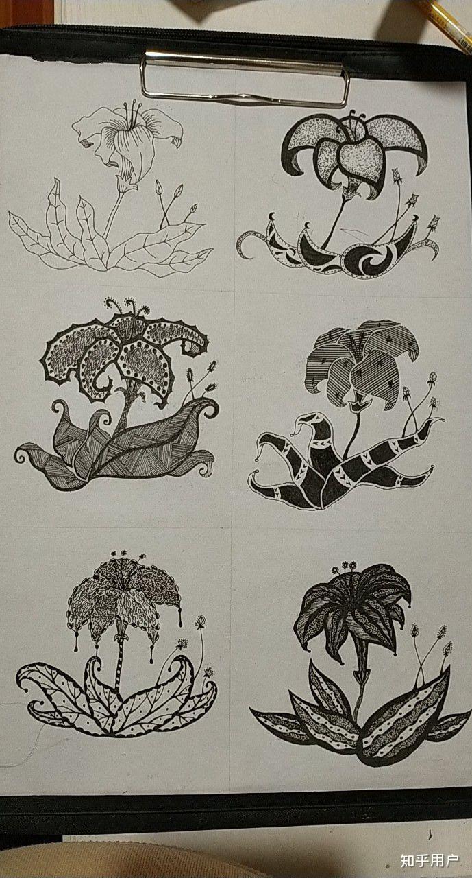 花卉图案如何变形? - 知乎