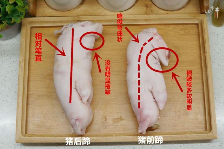买猪蹄吃,要先分清“前蹄”和“后蹄”,教4个方法,一挑一个准 - 知乎