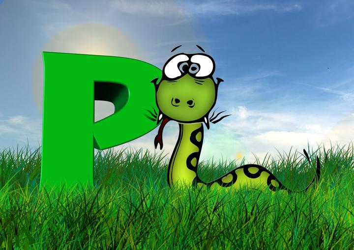  python 