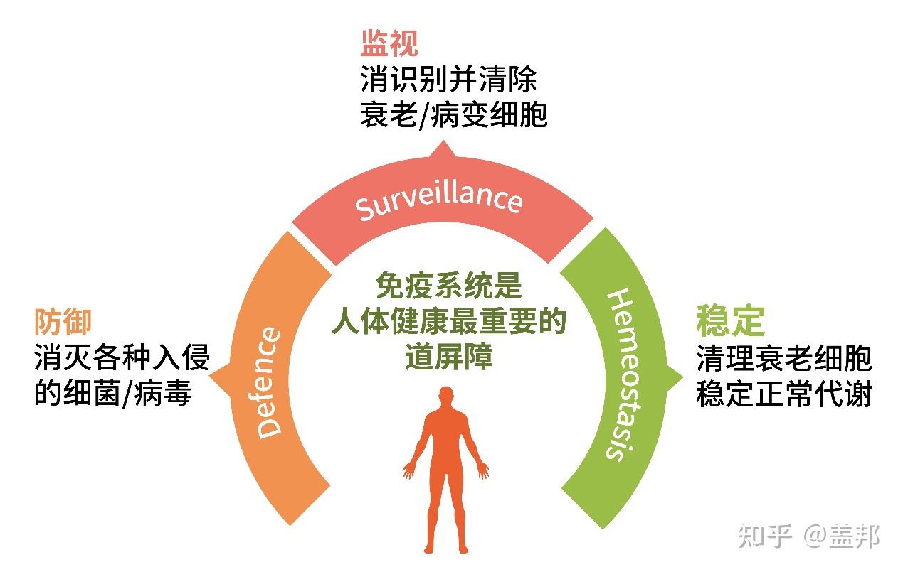 认识我们身体的“免疫体系”,你不知道的“免疫力” - 知乎
