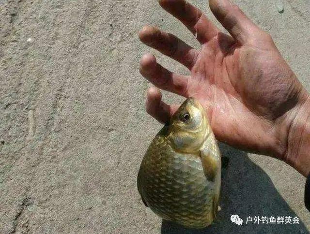 钓点有鱼,无论如何都不咬钩?为什么 - 知乎