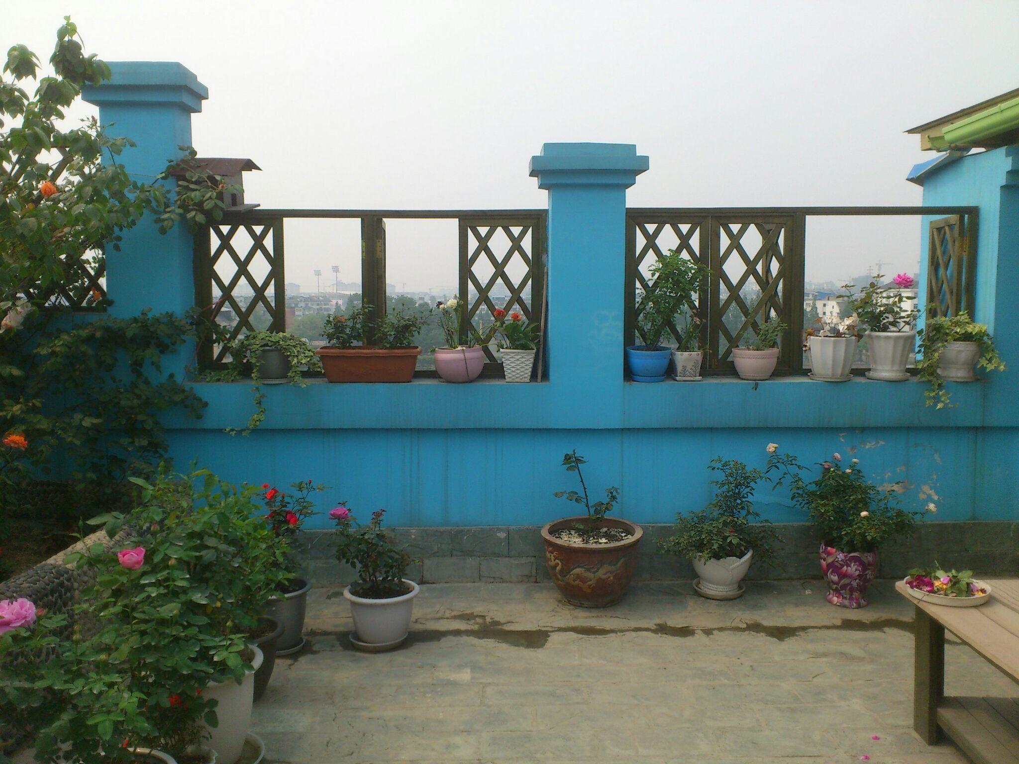 有谁分享一下自家美丽的自建花园