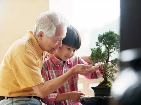 丁克族去了几趟养老院之后，终于决定要生孩子！养老院才不是什么天堂，而是暗无天日的地狱！ - 知乎