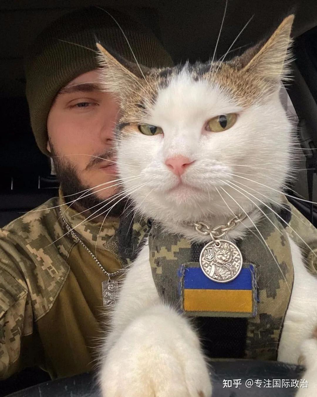 乌克兰首次承认冲突早就能结束但西方让我们继续打透露出了什么信息