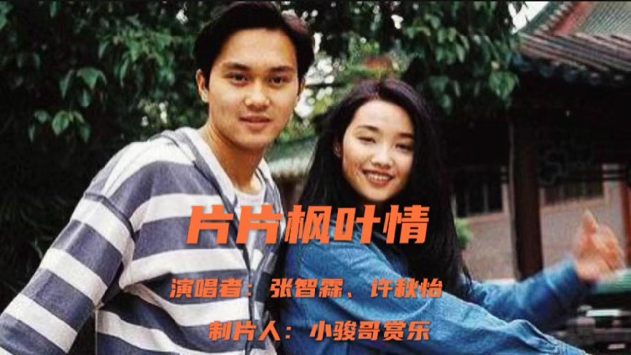 片片枫叶情原唱歌曲(片片枫叶情原唱歌曲视频)