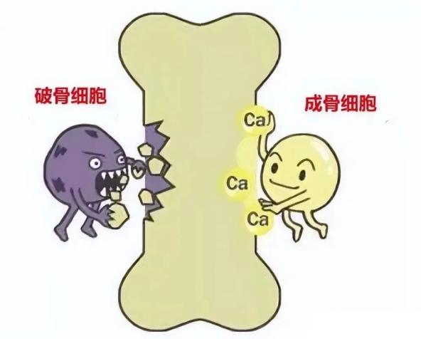 富锶矿物水到底是什么? - 知乎