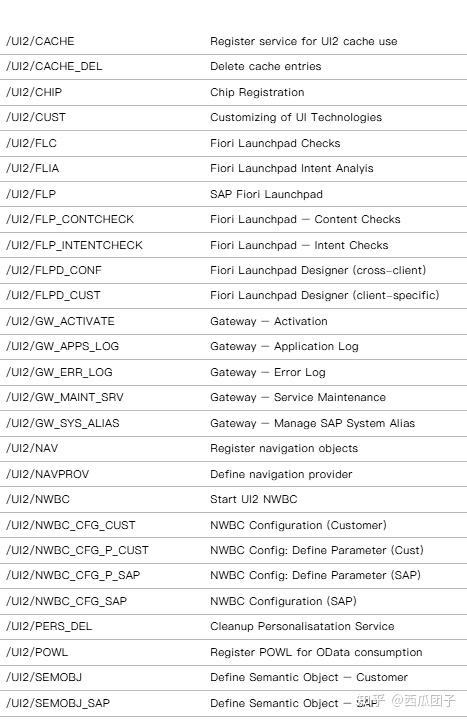 Tcode Frog 易拓SAP培训干货|SAP Fiori 常用T-code - 知乎