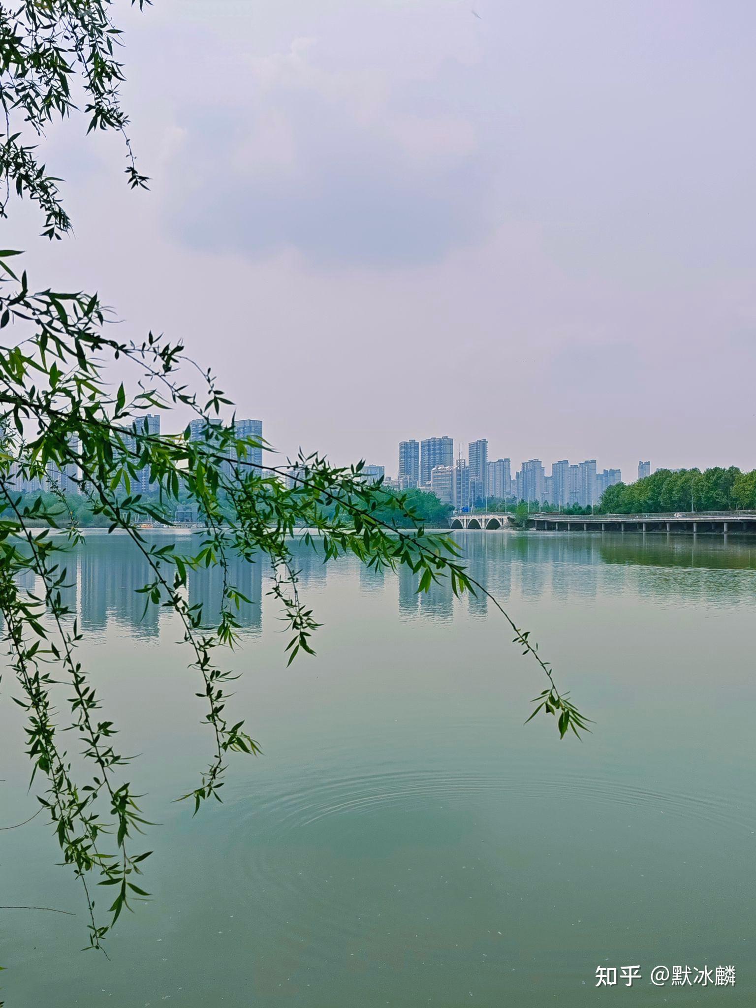 独自去蚌埠龙子湖风景区游玩是怎样的体验?