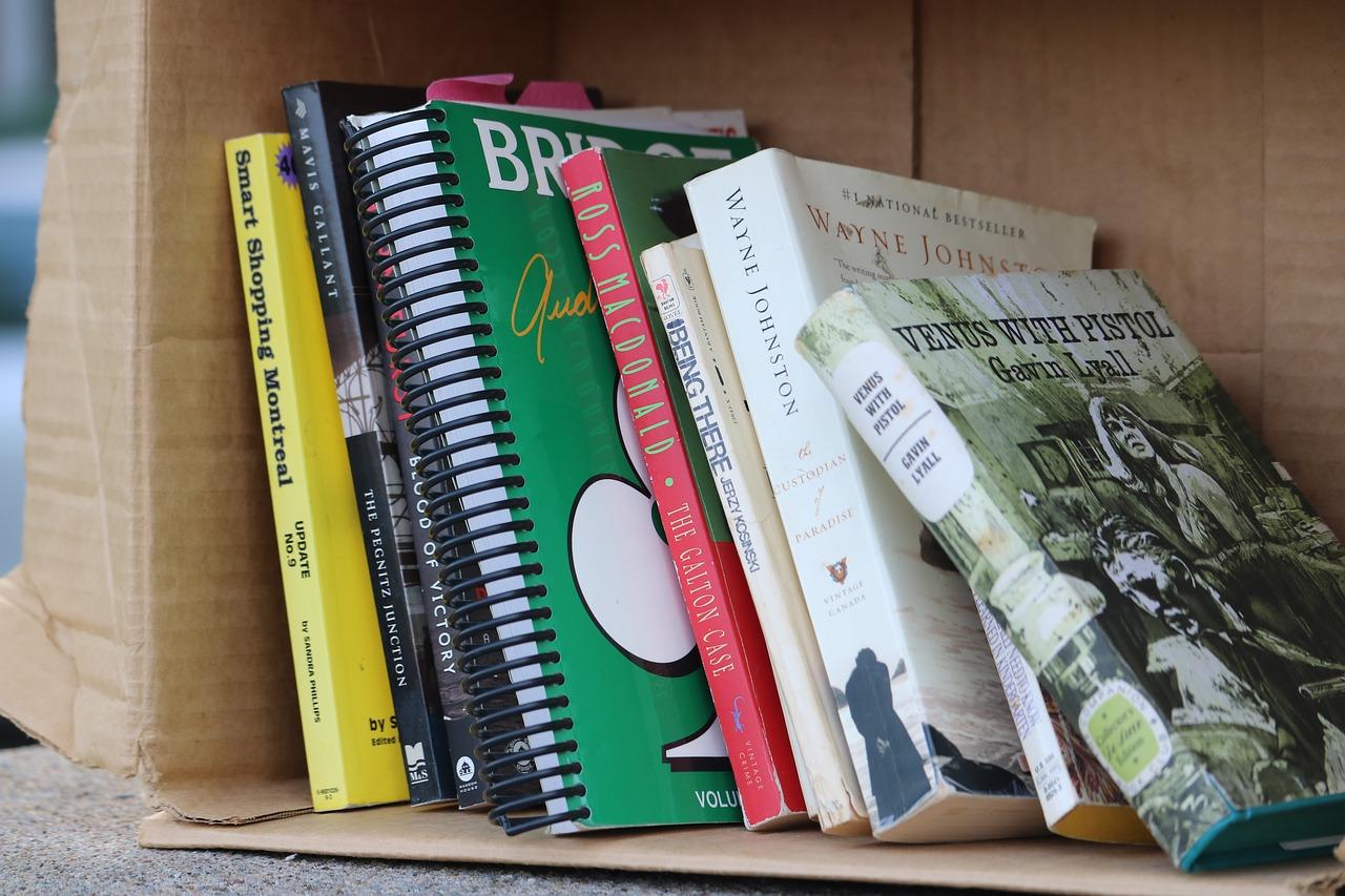 4. 笋岗旧货市场点